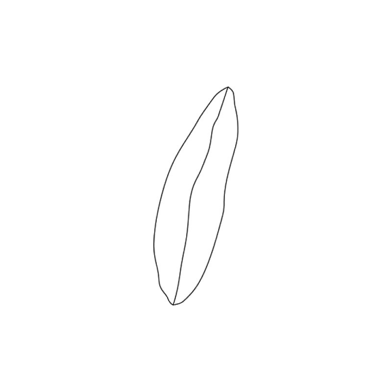 Maxalto SIMPLICITER Kissen 60x60cm - Kopftyp