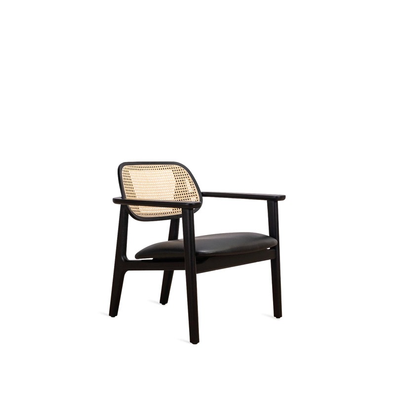 Vincent Sheppard TITUS Sessel, black